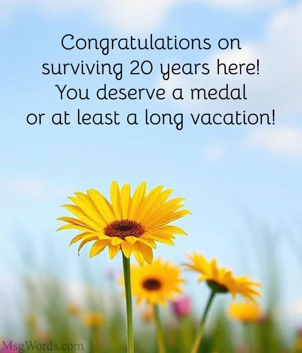 Congratulations on surviving 20 years here! You deserve a medal… or at least a long vacation!
