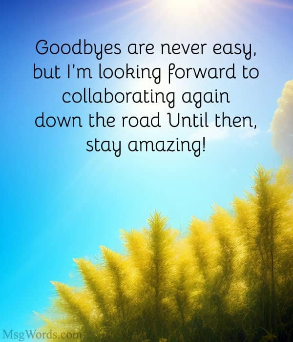 Goodbyes are never easy, but I’m looking forward to collaborating again down the road. Until then, stay amazing!