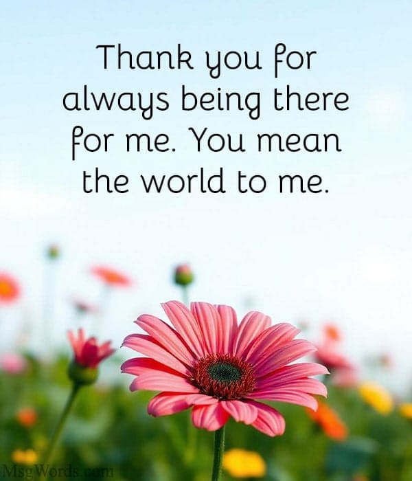 Thank you for always being there for me. You mean the world to me.