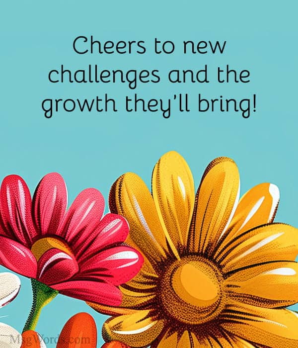 Cheers to new challenges and the growth they’ll bring!