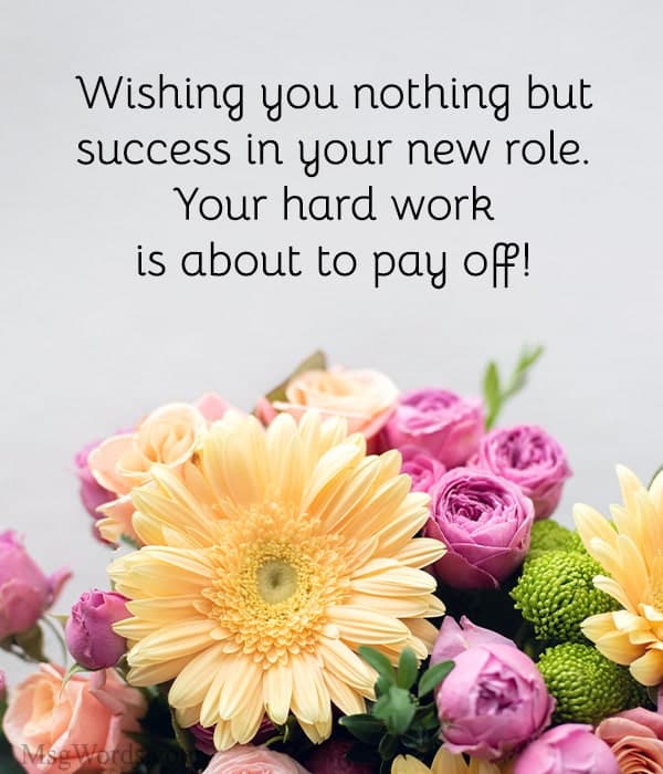 Wishing you nothing but success in your new role. Your hard work is about to pay off!