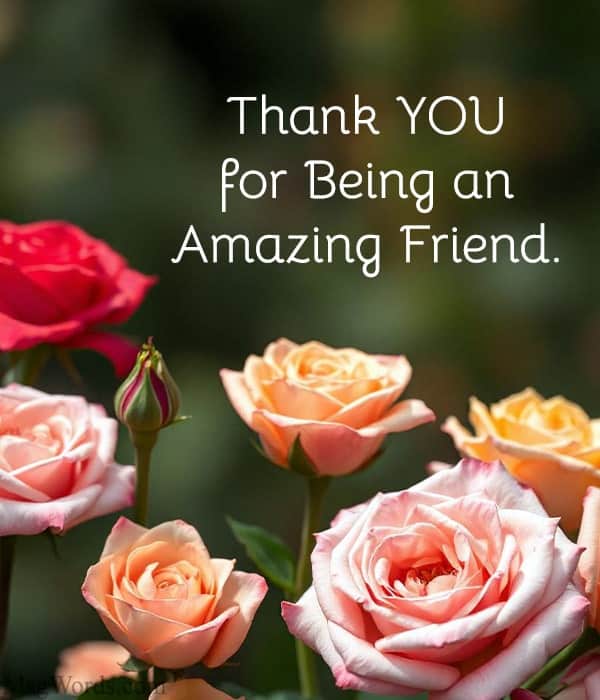 Thank YOU for Being an Amazing Friend.