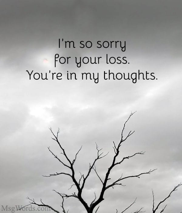 I’m so sorry for your loss. You’re in my thoughts.