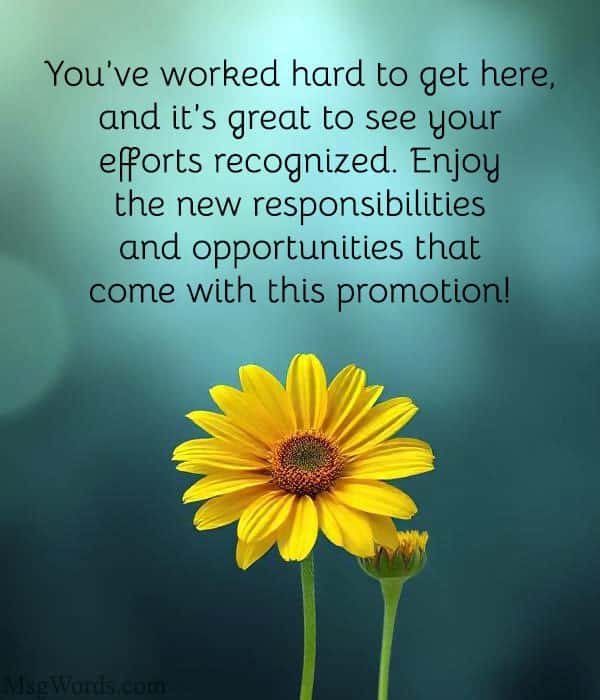 You’ve worked hard to get here, and it’s great to see your efforts recognized. Enjoy the new responsibilities and opportunities that come with this promotion!