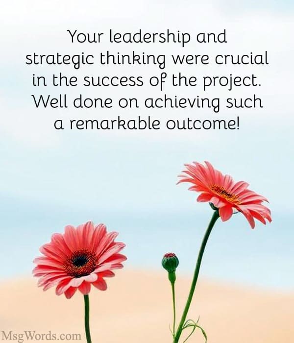 Your leadership and strategic thinking were crucial in the success of the project. Well done on achieving such a remarkable outcome!