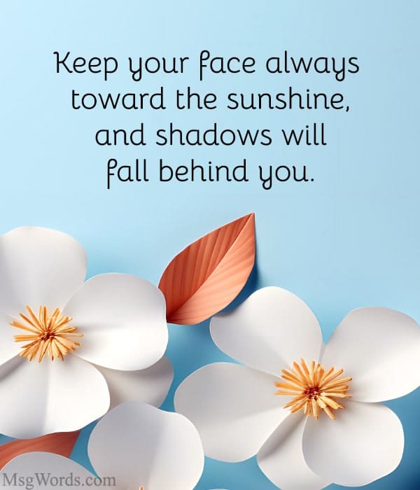 Keep your face always toward the sunshine, and shadows will fall behind you.