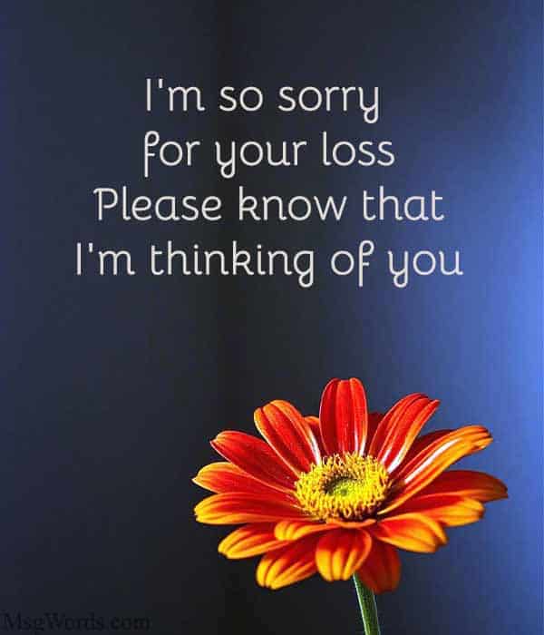 I'm so sorry for your loss. Please know that I'm thinking of you.