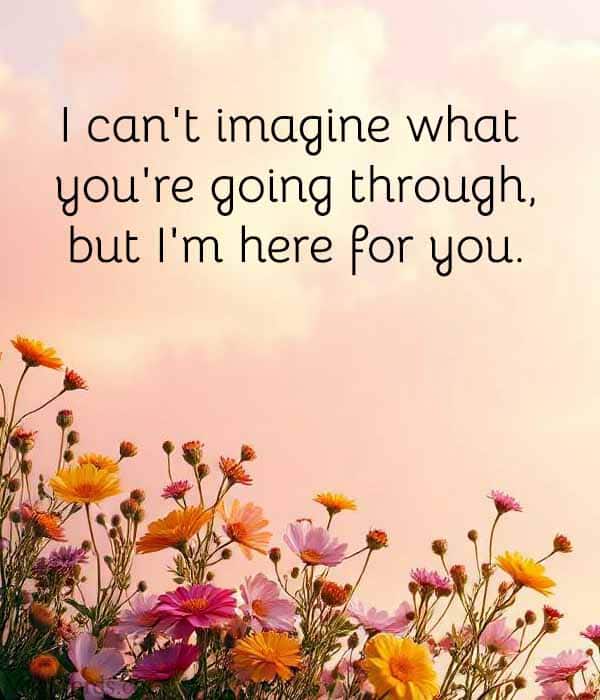I can't imagine what you're going through, but I'm here for you.