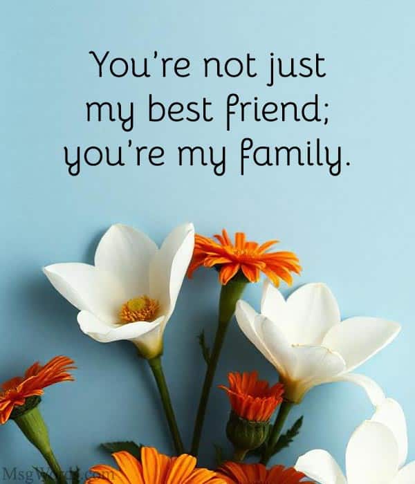 You’re not just my best friend; you’re my family.