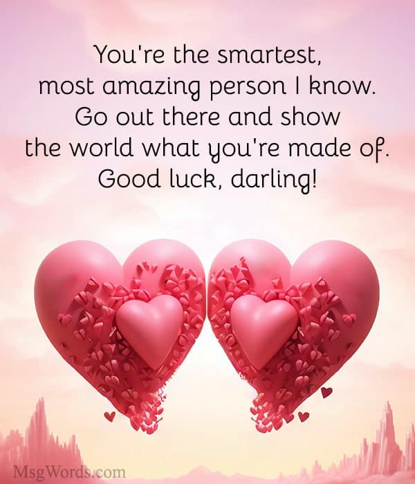 You're the smartest, most amazing person I know. Go out there and show the world what you're made of. Good luck, darling!