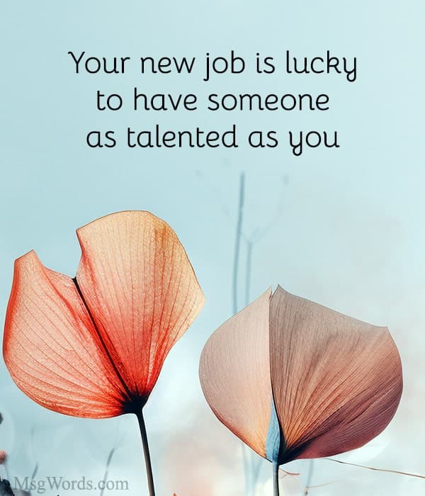 Your new job is lucky to have someone as talented as you!