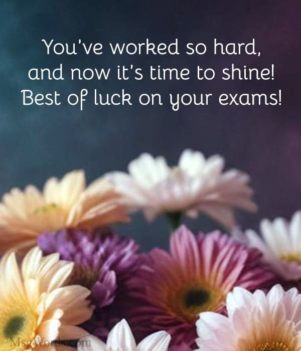 You’ve worked so hard, and now it’s time to shine! Best of luck on your exams!