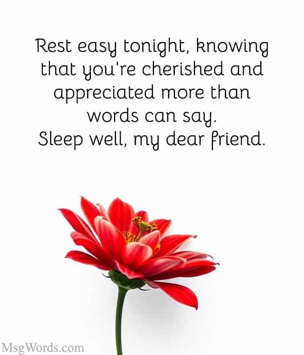 Rest easy tonight, knowing that you’re cherished and appreciated more than words can say. Sleep well, my dear friend.