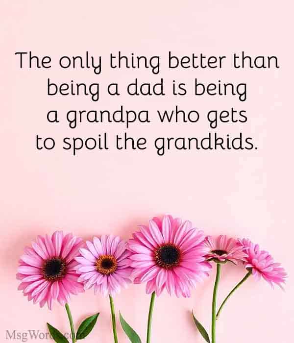 The only thing better than being a dad is being a grandpa who gets to spoil the grandkids.