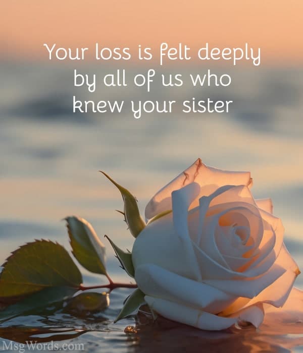 Your loss is felt deeply by all of us who knew your sister.