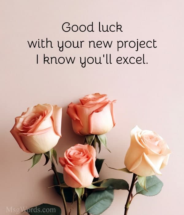 Good luck with your new project; I know you'll excel.