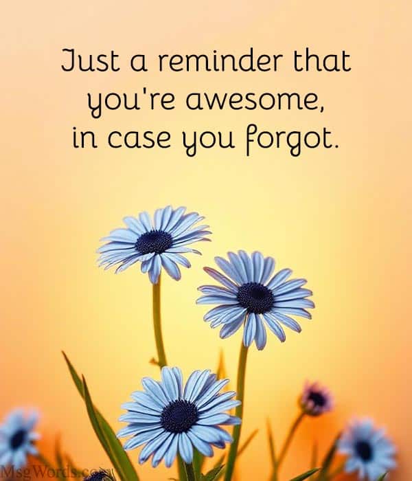 Just a reminder that you're awesome, in case you forgot.