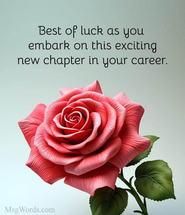 Best of luck as you embark on this exciting new chapter in your career.