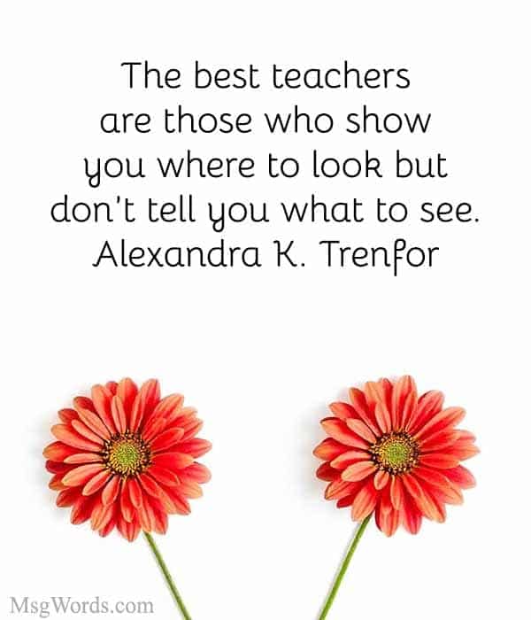 The best teachers are those who show you where to look but don’t tell you what to see." – Alexandra K. Trenfor