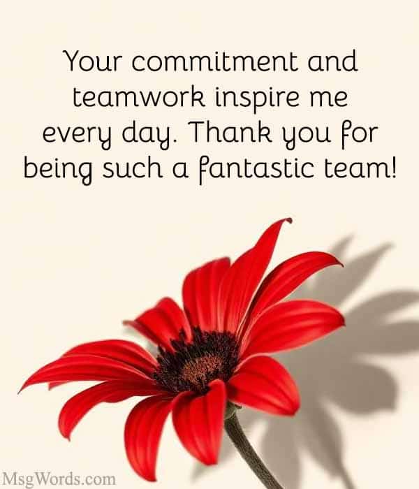 Your commitment and teamwork inspire me every day. Thank you for being such a fantastic team!