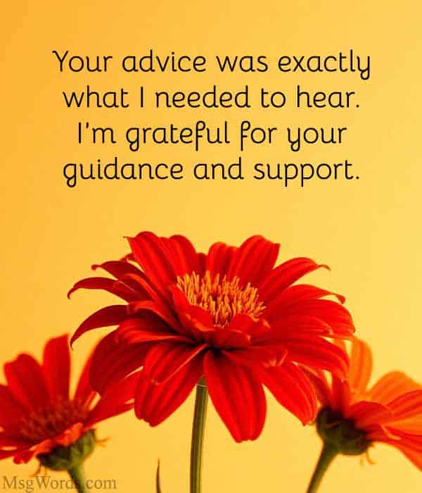 Your advice was exactly what I needed to hear. I’m grateful for your guidance and support.