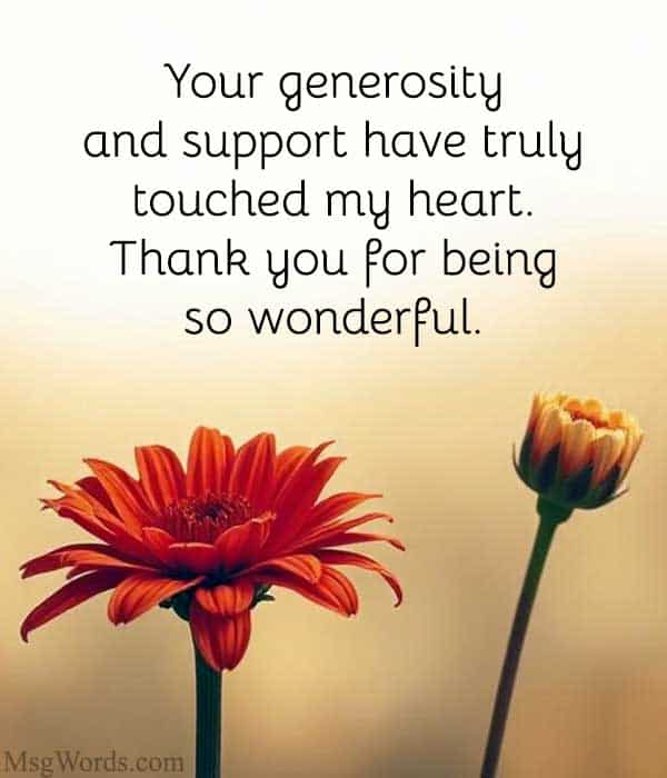Your generosity and support have truly touched my heart. Thank you for being so wonderful.
