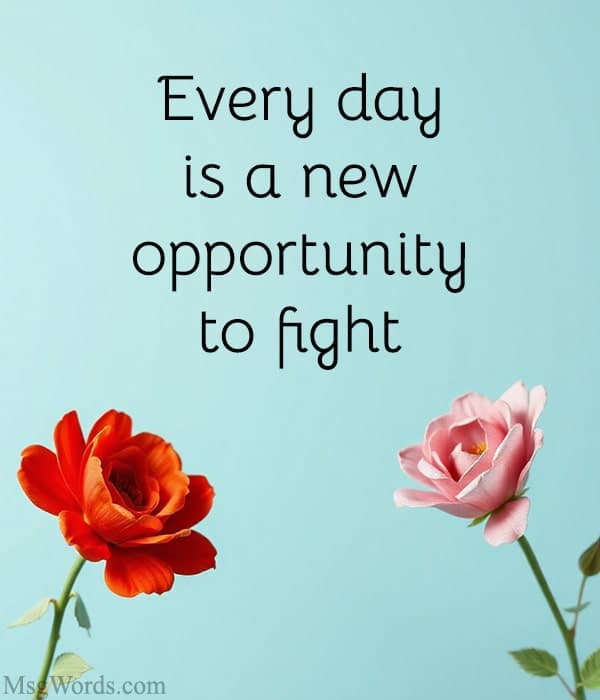 Every day is a new opportunity to fight.