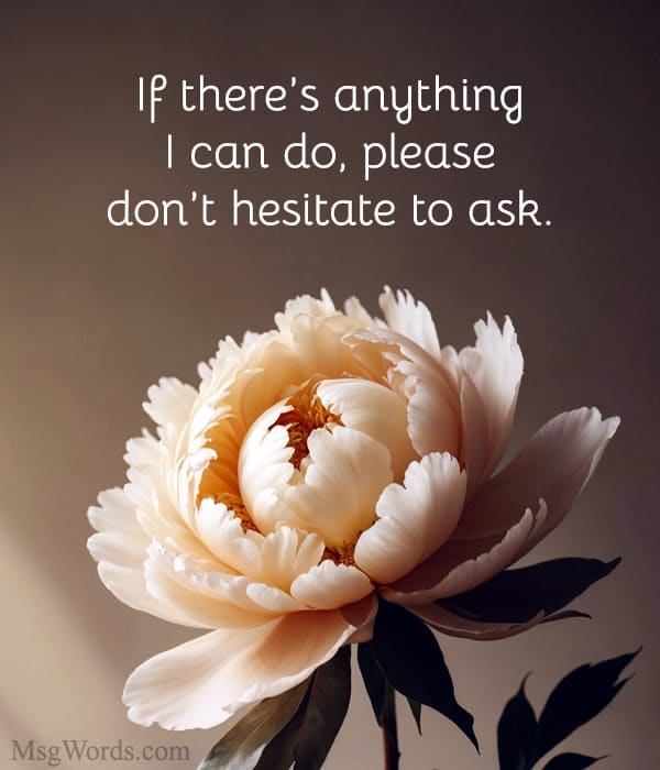 If there’s anything I can do, please don’t hesitate to ask.