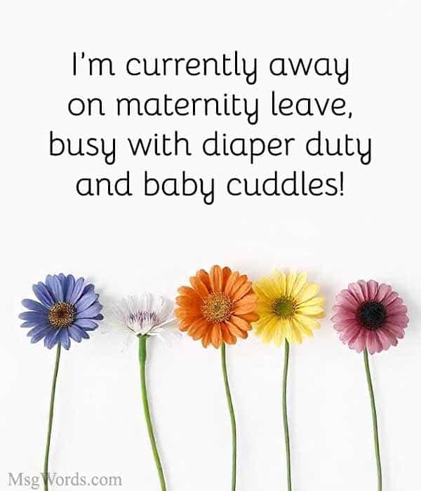 I’m currently away on maternity leave, busy with diaper duty and baby cuddles! I’ll be back on [Date] and can’t wait to catch up with you then.