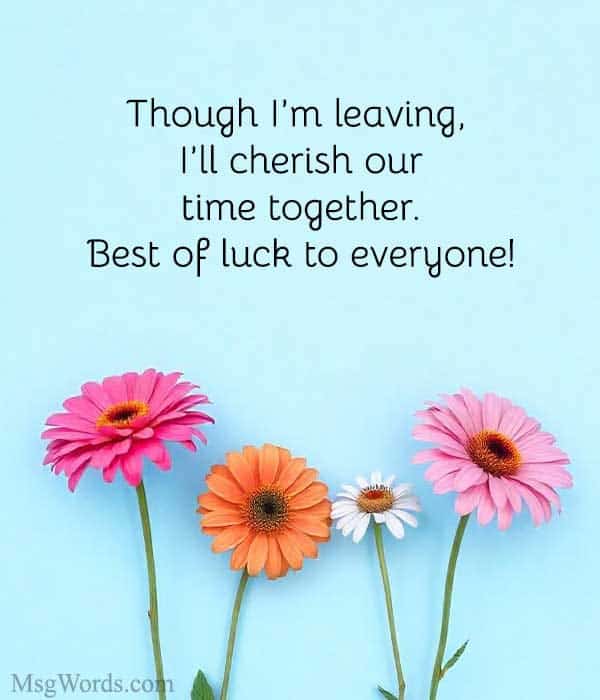 Though I’m leaving, I’ll cherish our time together. Best of luck to everyone!