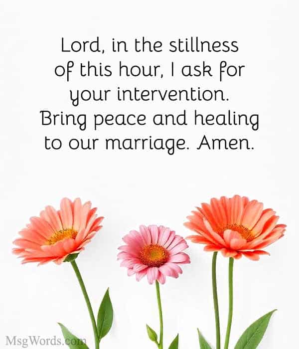 Lord, in the stillness of this hour, I ask for your intervention. Bring peace and healing to our marriage. Amen.
