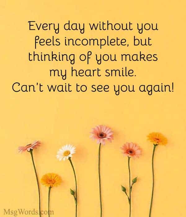 Every day without you feels incomplete, but thinking of you makes my heart smile. Can’t wait to see you again!