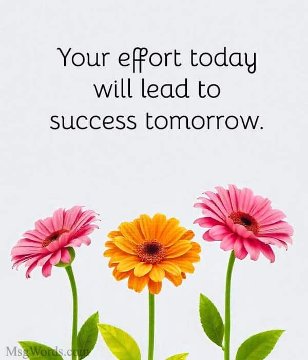 Your effort today will lead to success tomorrow.