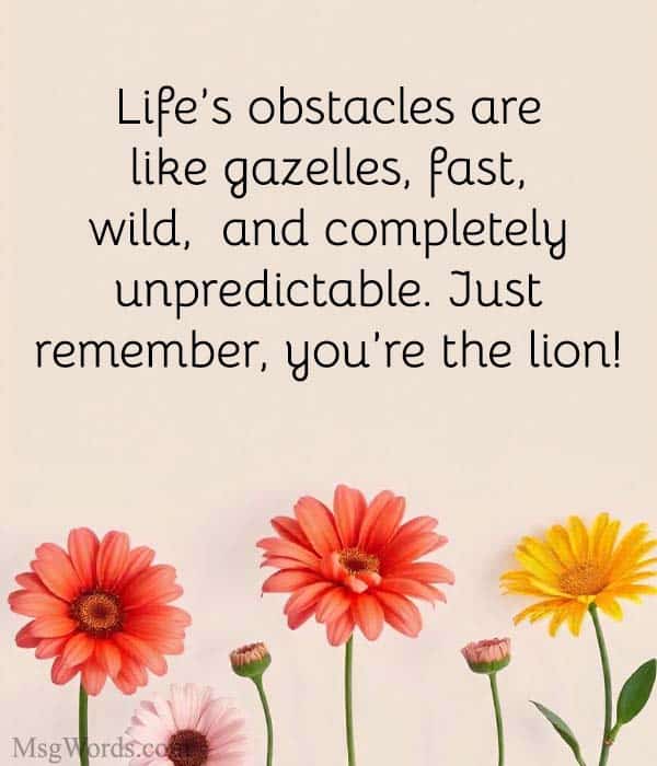 Life’s obstacles are like gazelles; fast, wild, and completely unpredictable. Just remember, you’re the lion!