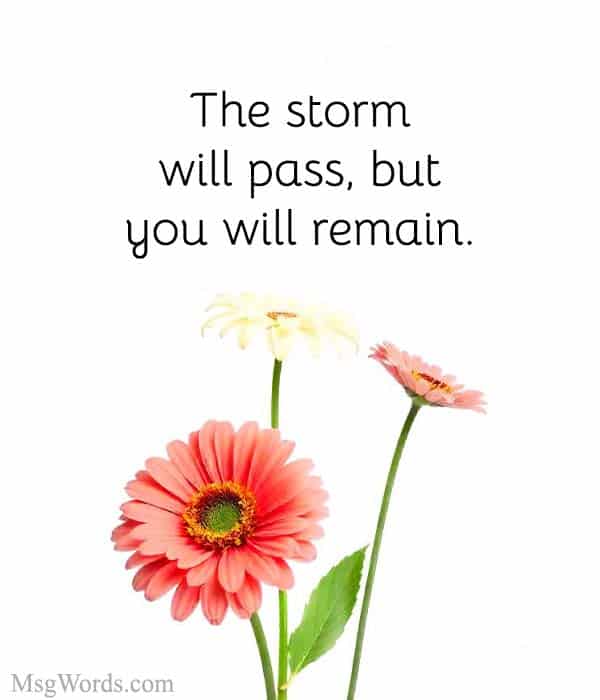 The storm will pass, but you will remain.