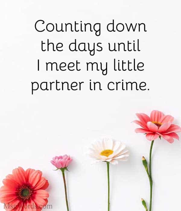 Counting down the days until I meet my little partner in crime.