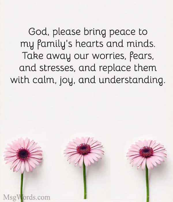God, please bring peace to my family’s hearts and minds. Take away our worries, fears, and stresses, and replace them with calm, joy, and understanding. Amen.