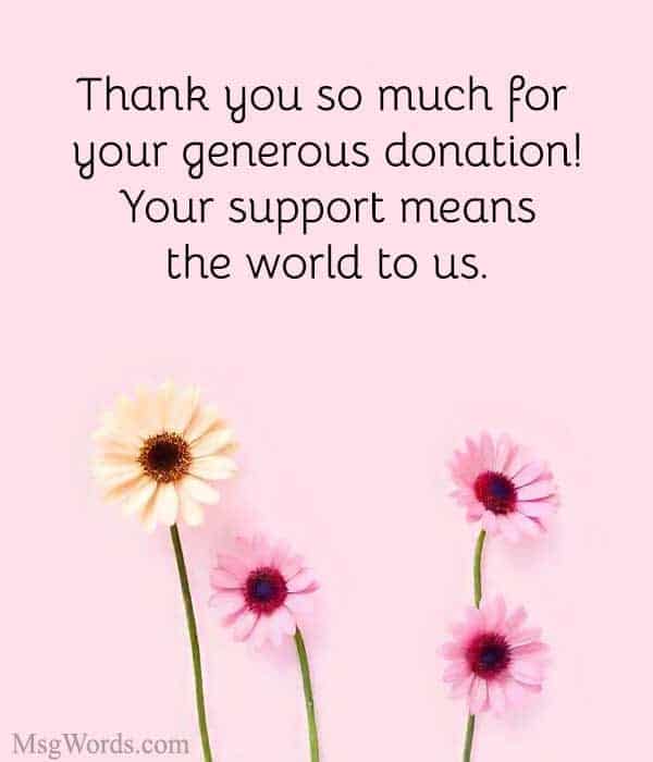 Thank you so much for your generous donation! Your support means the world to us.
