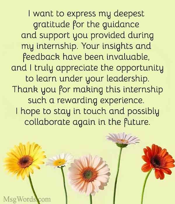 Dear [Supervisor’s Name],
I want to express my deepest gratitude for the guidance and support you provided during my internship. Your insights and feedback have been invaluable, and I truly appreciate the opportunity to learn under your leadership. Thank you for making this internship such a rewarding experience. I hope to stay in touch and possibly collaborate again in the future.