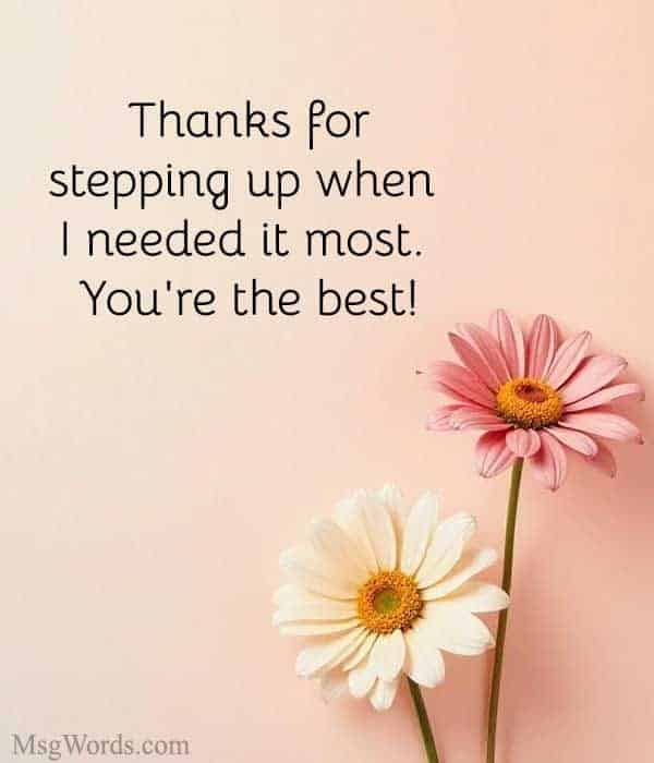 Thanks for stepping up when I needed it most. You're the best!