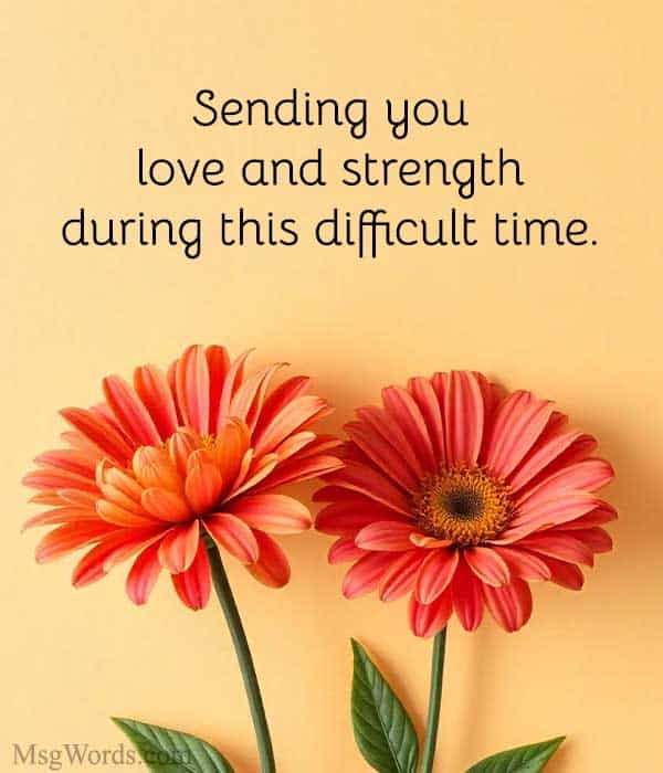 Sending you love and strength during this difficult time.