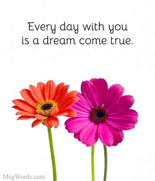 Every day with you is a dream come true.