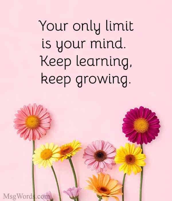 Your only limit is your mind. Keep learning, keep growing.