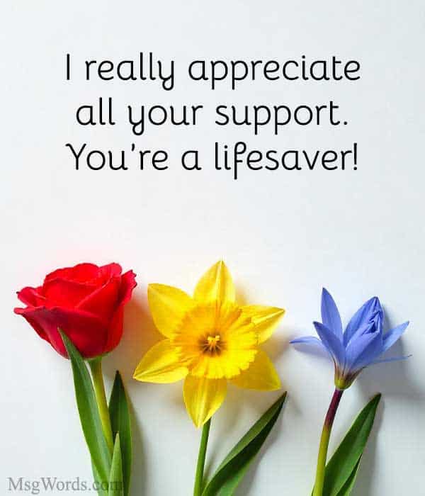 I really appreciate all your support. You’re a lifesaver!