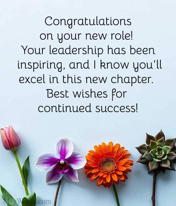 Congratulations on your new role! Your leadership has been inspiring, and I know you'll excel in this new chapter. Best wishes for continued success!