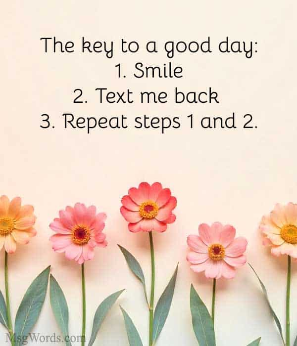 The key to a good day: 1. Smile 2. Text me back 3. Repeat steps 1 and 2.
