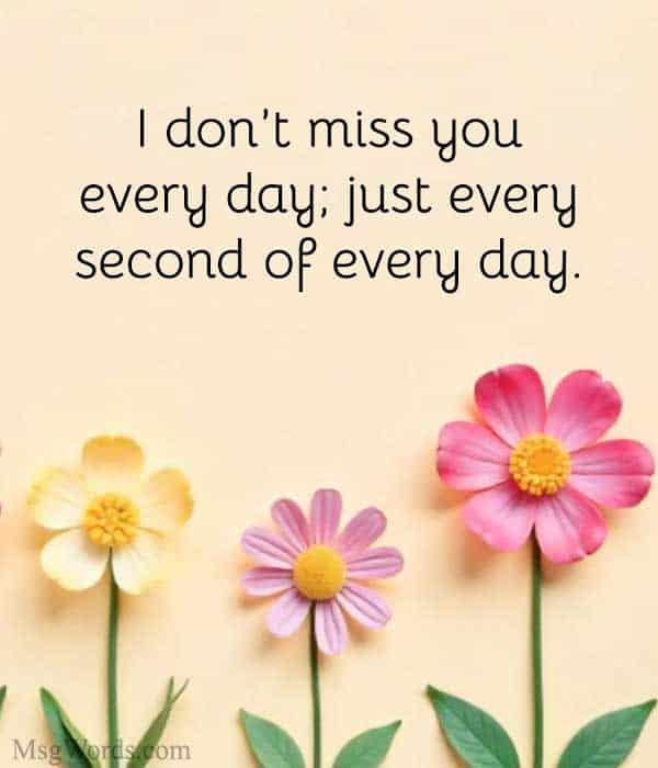 I don’t miss you every day; just every second of every day.