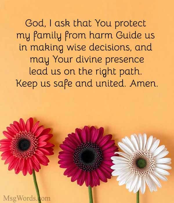 God, I ask that You protect my family from harm. Guide us in making wise decisions, and may Your divine presence lead us on the right path. Keep us safe and united. Amen.
