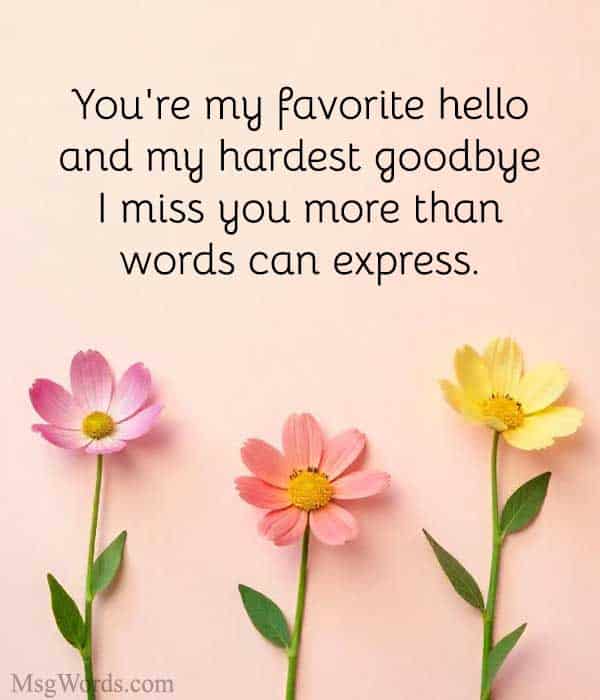 You're my favorite hello and my hardest goodbye. I miss you more than words can express.