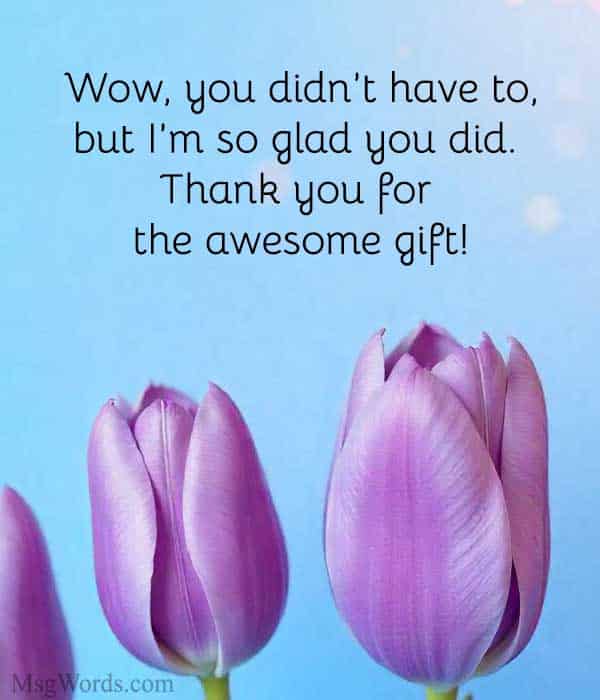 Wow, you didn’t have to, but I’m so glad you did. Thank you for the awesome gift!